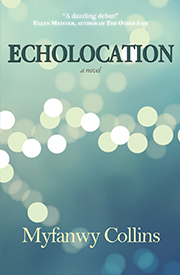 Echolocation: a novel by Myfanwy Collins